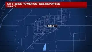 Snake blamed for city-wide power outage