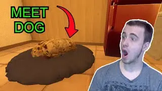 THIS HORROR GAME turned out to be... WHOLESOME?? - Petsitting