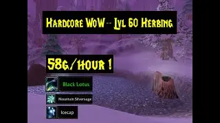 Hardcore WoW Gold Farming - 1 Hour Herbing in Winterspring - Level 60 Horde Defias Pillager