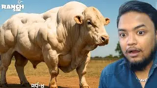 ফার্মে বিদেশি বিশাল গরু আনলাম | Ranch Simulator Cow Farm Bangla Gameplay | Part 8 | OONETA
