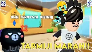TARMIJI MARAH DI TINGGAL LIBURAN 😩🐈‍⬛💢 || REVIEW PAKET BARU DAN BOCORAN UPDATE IMLEK 🐉🏮‼️|| #pkxd 
