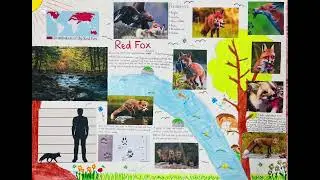 Red fox poster #fox #science #nature