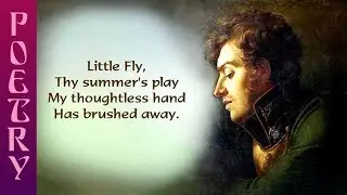 William Blake's poem The Fly