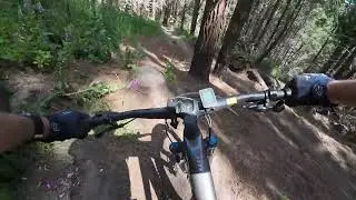 CAP - Phoenix - MTB Crash - The shorter/fun cut