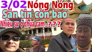 3/02/ 2026/ tin Nóng trong ngày còn bao nhiêu sư ở chùa cam.???