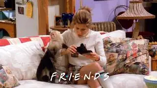 Rachel Loses Marcel the Monkey | Friends
