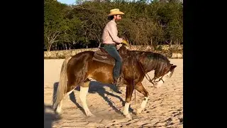 calentamiento suavizando las partes del cuerpo, galope con direccion y galope con  cambio de mano