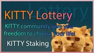 Kitty Coin испытай удачу сыграй в лотерею | Закупаю токены жду 100х