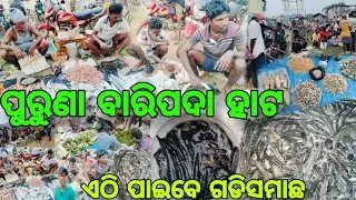 ପୁରୁଣା ବାରିପଦା ହାଟ ରେ ଏଠି ଦେଶୀ  ଗଡିଶ ମାଛ କୁ ବାଡି ପରିବା ପାଇବେ ଶସ୍ତାରେ || Puruna Baripada Hata