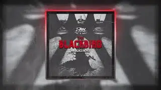 Jay Reeve - The Blackbird (Mr. Blacx Remix)
