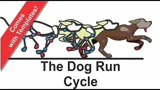 Dog Run Cycle - How to animate a dogs' run cycle