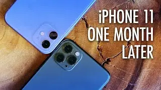 iPhone 11 Review: One Month Later