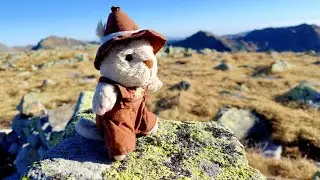 🇷🇴Prin Tărâmul Fermecat(RETEZAT)🇷🇴Cu🐕‍🦺MAiLO🐕‍🦺🍁Cârnic🚶Vf.Retezat🚶🍁6 nov.2024🍁