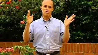 El arte de esperar