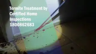 Termite Treatment - Termite damage is far and wide in Brisbane House