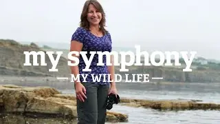 My Symphony - Suzanne, Jurassic Coast, Dorset