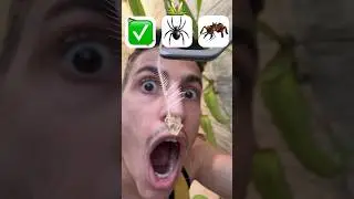 Quais insetos a planta carn&iacute;vora come?!😱 #shorts #challenge