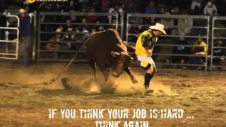 Canungra RodeoBull Fighter 2014