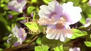 Tangled up - Caro Emerald (Lyrics)