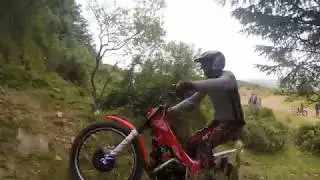 Trails in Murroe