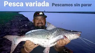 Pesca nocturna/variada/y al amanecer más pesca