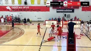 Guelph Gryphons vs York, Jan 25, 26; OUA League Game 