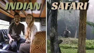 Celebrated Ruthi's birthday in Kerala, INDIA! | Wayanad Safari & Hiking