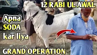 Bhains Colony Bakra Mandi Today 12 Rabi Ul Awal Per Hoa Grand Operation Prices Ka Dhamaka 
