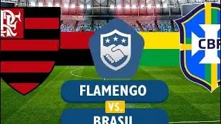 Simulando Flamengo x Brasil 