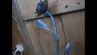 Forged rose.Кованая роза ( 
