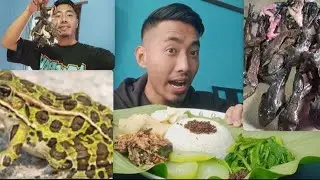 Готовьте и ешьте со мной 🐸🐸🐸// Вкусное карри с лягушкой и зеленью 💚 🔥 🤤