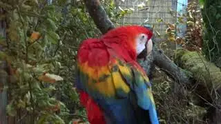 Vogelschau Geislingen an der Steige 2017