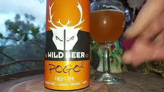 Wild Beer Pogo 2 Fruit IPA 7%
