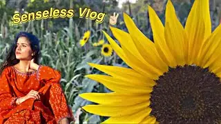 A video of me roaming around in fields // Dhok Phulari Talagang // Pakistani village