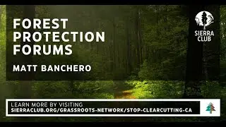 Forest Protection Forums | Stop Clearcutting CA | Matt Banchero