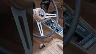 1969 Chevrolet Corvette #cars #car #classiccar #viralshort #viralshorts #viral #wow #classic