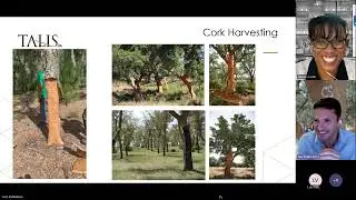 Ask The Expert Series: Sustainable Closures? Can a stopper make a difference?