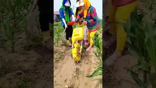 Modern agriculture techniques | practical fertilizing tool for rural farmer #farming #shorts