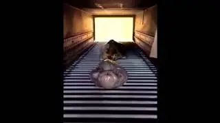 fresh chicken shrink packing