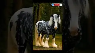 Amazing Horse Dance Video Went Viral 🔥😱#amazing #shorts #horse #video @GigglyMoo