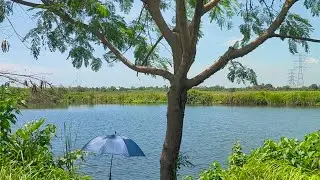 SPOT MANCING LIAR BUNI BARU - BEKASI, JAUH BGT TETEP DISAMPERIN SAMA SEMUA PEMANCING KRN GACOR PARAH
