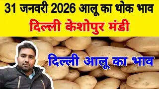 दिल्ली आलू का भाव | 🥔potato market price today | Today Potato rate | 31 Jan 2026 #potato #Aalukebhav
