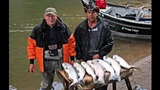 Fishing Guide Kalama - Coho Diver and Bait Smack Down.
