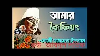 আমার কৈফিয়ত