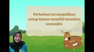 Penjelasan Mengenai 