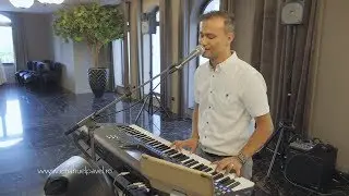 Alin Timofte 2019 -  E-atata pace - aici | LIVE  Nunta Zalau