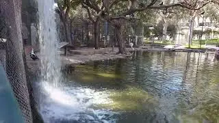 Agadir la vallée des oiseaux/أكادير وادي الطيور/Birds valley.4k