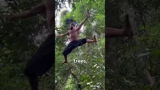 Начальная подготовка гимнаста в джунглях