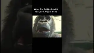 When The Bubble Guts Hits You Like A Freight Train!