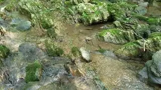 081318 water & layered rocks VA
